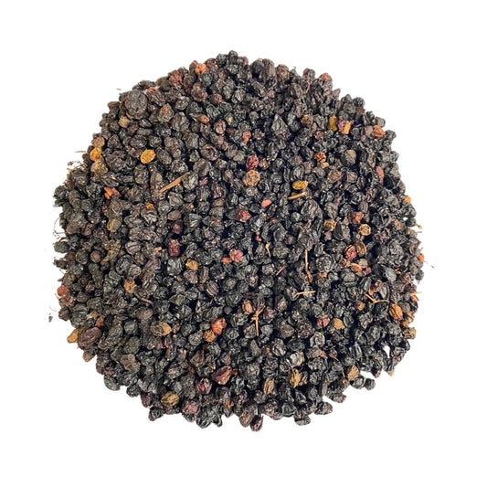 Frutos de Sabugueiro