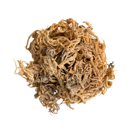Sea Moss - (Musgo Marinho) Bio 90 Cápsulas
