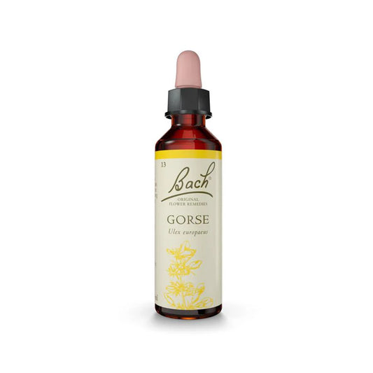 Floral de Bach Gorse (Esperança) 20ml